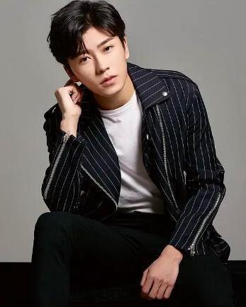 景的男明星,魅力四溢的影视界新星