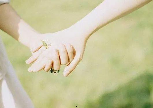牵手花图片,浪漫邂逅的美丽瞬间