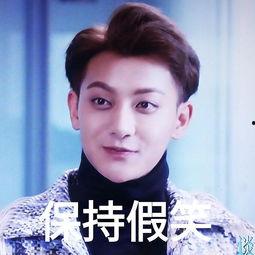 黄子韬表情包视频